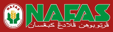 Logo 8